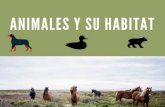 Animales y su habitat.
