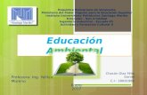 Mapa Conceptual Educación Ambiental - Actividad y Formación Cultural 2