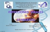 Infecciones virales y embarazo