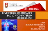 Revisión bibliografica del bacilo mycobacterium tuberculosis