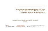 Estudio Agroindustrial de la Cadena de Valor del Cuero en el ...