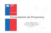 Guía para la formulación de proyectos Fondecyt (.pdf, 2,15 MB).