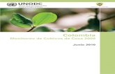 Monitoreo Cultivos de Coca Colombia 2009