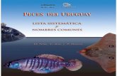 Peces del Uruguay - Lista sistemática y nombres comunes. Dinara ...