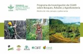 Programa de Investigación de CGIAR sobre Bosques, Árboles y ...