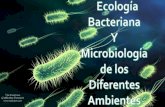 Microbiologia ambiental, ecologia  bacteria y microbiologia de los diferentes ambientes.