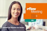Eflow Meeting || Rotinas Anuais RAIS + DIRF | 4W