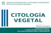 Citologia Vegetal.