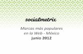 Marcas más populares en la Web-México. Junio2012