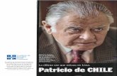 Patricio de Chile