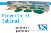 Proyecto El Sabinal