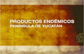 Productos endémicos de Yucatán