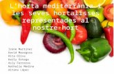 5. l'horta mediterrania i les seves  hortalisses representades al