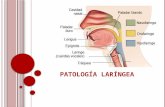 Patología laríngea
