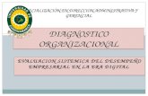 Diagnostico organizacional  libro   copia (2)