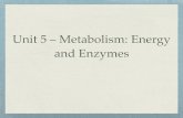 Metabolism Presentation 2016