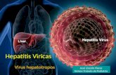 Hepatitis viricas