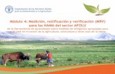 Módulo 4: Medición, notificación y verificación (MRV) de las NAMA del sector AFOLU. Herramienta de aprendizaje sobre medidas de mitigación apropiadas para cada país en el sector