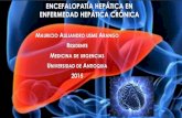 Encefalopatía hepática en enfermedad hepática crónica presentacion