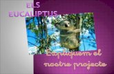 Projecte Eucaliptus