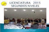 Ensayo Licenciatura 2015 liceo Luis Gómez Catalán