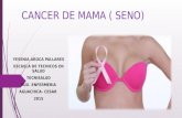 Cancer de mama ( senos )