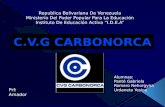 presentación CVG CARBONORCA