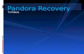 Pandora Recovery-Tutorial