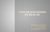 Contrataciones publicas