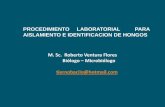5. proce-laboratorio-aislamientos-hongos (2)
