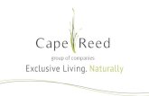 Presentación Cape Reed
