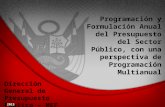 Programación y Formulación Anual del Presupuesto del Sector Público, con una perspectiva de Programación Multianual / Ministerio de Economía y Finanzas (Perú)