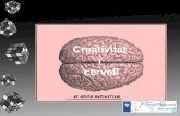 Creativitat i Cervell. IV Congres Català de Filosofia a Vilafranca del Penedes.