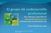 Taller grupos de codesarrollo prof en espanol 7 enero 2014