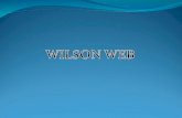Wilson web