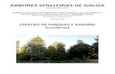 Arbores senlleiras de Galiza: parques e xardíns (coníferas)