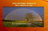 3.  las-virtudes_humanas