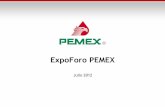 Pemex expo-20121