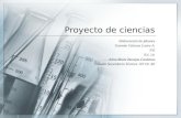 Proyecto de quimica iii