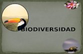 Biodiversidad presentación