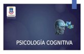Psicología Cognitiva ireyes 12918564