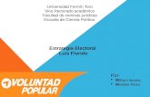 Estrategia electoral Luis Florido