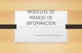 MODELOS DE MANEJO DE INFORMACION