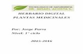 Herbario digital.
