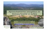 Aprovechamientos energéticos de biomasa forestal en Galicia
