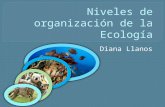 Niveles de organización de la ecología