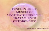 Función de los músculos masticatorios en el tratamiento Ortodoncico
