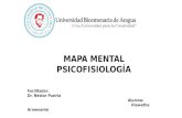 Mapa mental - PSICOFISIOLOGIA