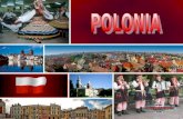 Polonia 12................d.15-5