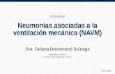 Neumonías asociadas a la ventilación mecánica (NAVM). Ponencia de la Dra. Tatiana Drummond
